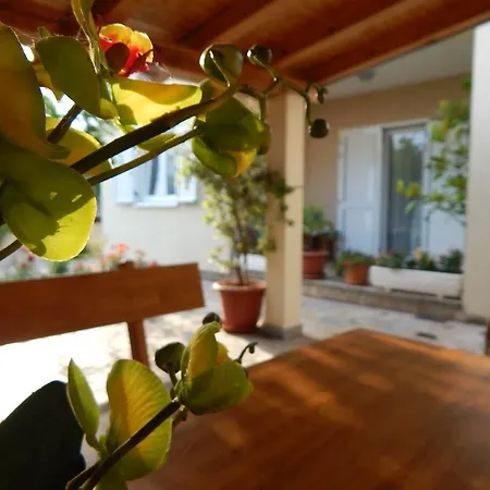 House Mastrinka * Vinišće
